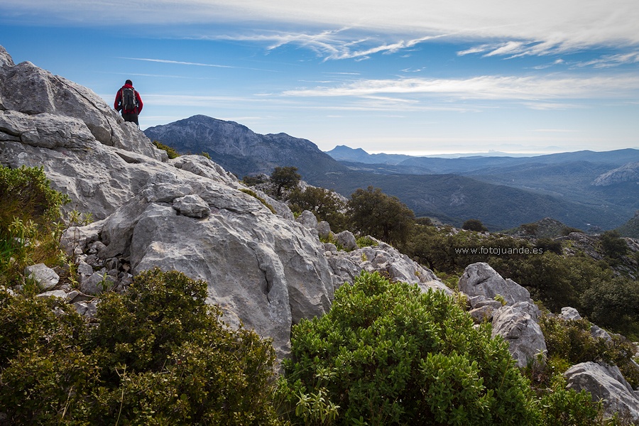 Sierra de los Pinos, Sierra Bermeja, Gibraltar y Marruecos, desde Sierra Baja.