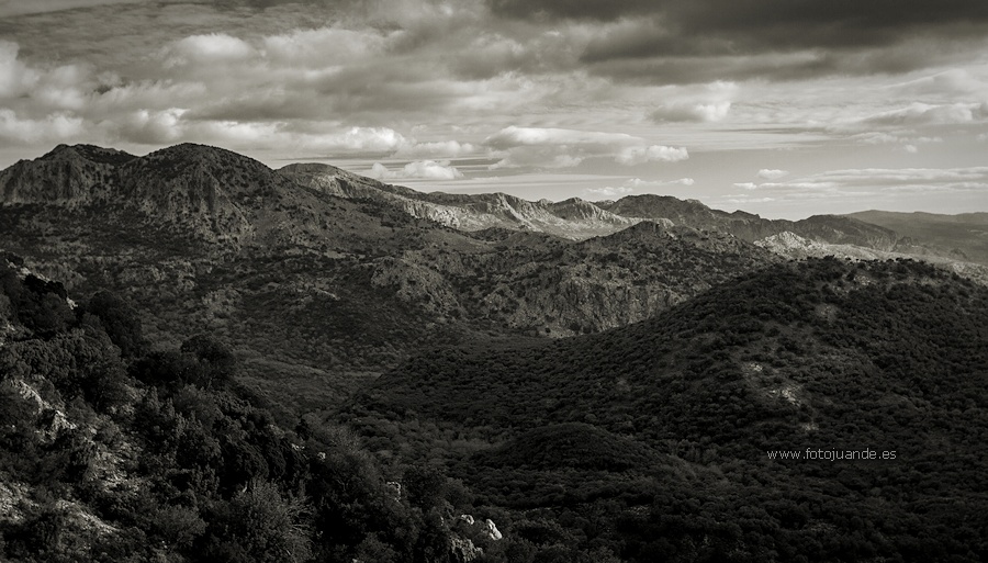 Al fondo, las sierras del Caíllo y de Ubrique