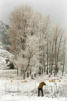 Descansadero de la Covezuela (Villaluenga)