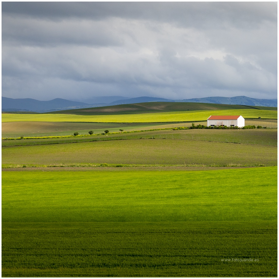 Paisaje de La Janda en abril
