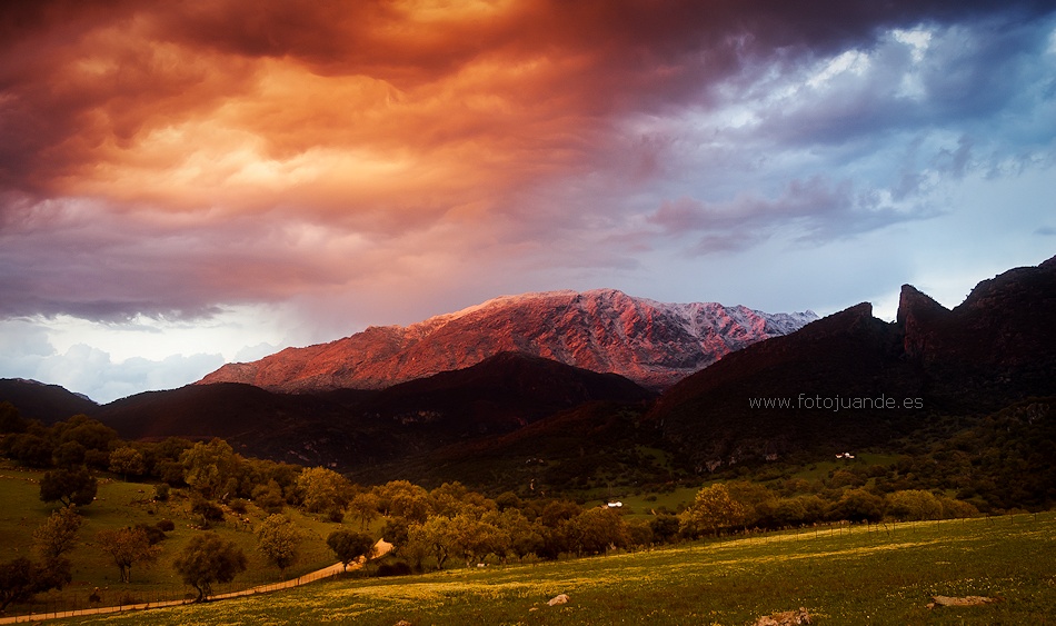 Hielo y fuego en la cumbre (Sierra del Pinar, Cádiz)