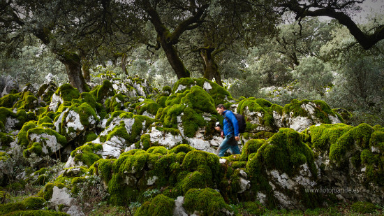 Llegó el invierno a la Sierra de Cádiz, por fin. Llegó el invierno a la Sierra de Cádiz, por fin.